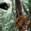 Emergency Survival Gear Steel; Wire