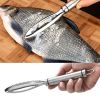 Fish Scaler; Skin Brush